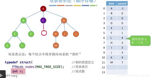 數(shù)據(jù)結(jié)構(gòu)之樹(shù)的存儲(chǔ)結(jié)構(gòu) 數(shù)據(jù)處理與存儲(chǔ)服務(wù)的基石