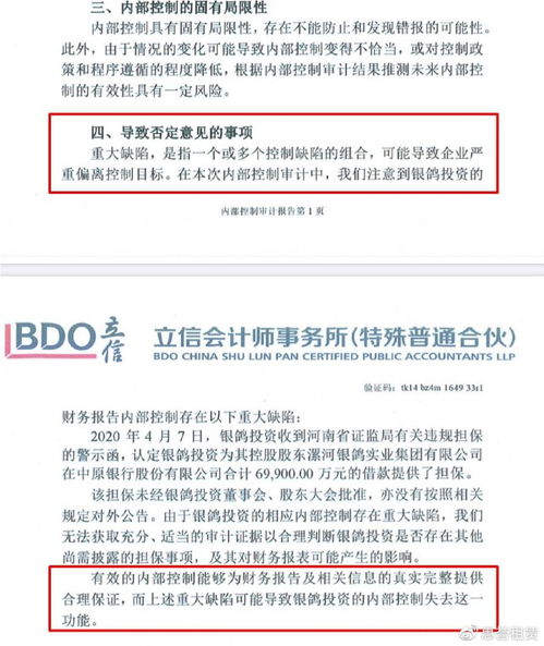 銀鴿投資 審計(jì)報(bào)告懸而未決，監(jiān)管部門該主動出擊了